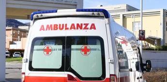 Lucca 81enne muore folgorato mentre lavora nel suo terreno Lucca 81enne muore folgorato mentre lavora nel suo terreno