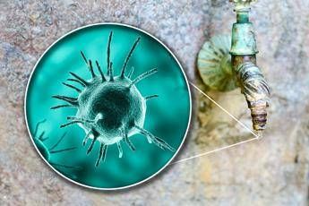 Malattie rare Sitrac Non accessibile farmaco approvato in cheratite da Acanthamoeba Malattie rare Sitrac Non accessibile farmaco approvato in cheratite da Acanthamoeba