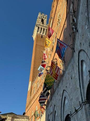Palio di Siena estratte Lupa Oca Bruco Valdimontone e Pantera Palio di Siena estratte Lupa Oca Bruco Valdimontone e Pantera