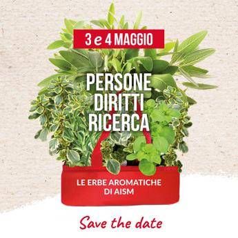 Ricerca le erbe aromatiche di Aism tornano in piazza per lotta alla sclerosi multipla Ricerca le erbe aromatiche di Aism tornano in piazza per lotta alla sclerosi multipla