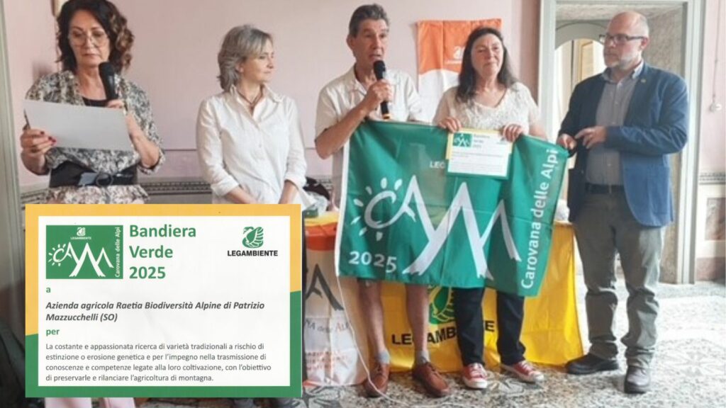 Riconoscimento a Raetia Biodiversita Alpine premiato limpegno per la biodiversita alpina Riconoscimento a Raetia Biodiversita Alpine premiato limpegno per la biodiversita alpina