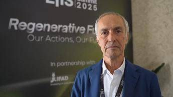 Sostenibilita Tapella Uiops In Italia il 95 dellolio di palma e certificato sostenibile Sostenibilita Tapella Uiops In Italia il 95 dellolio di palma e certificato sostenibile