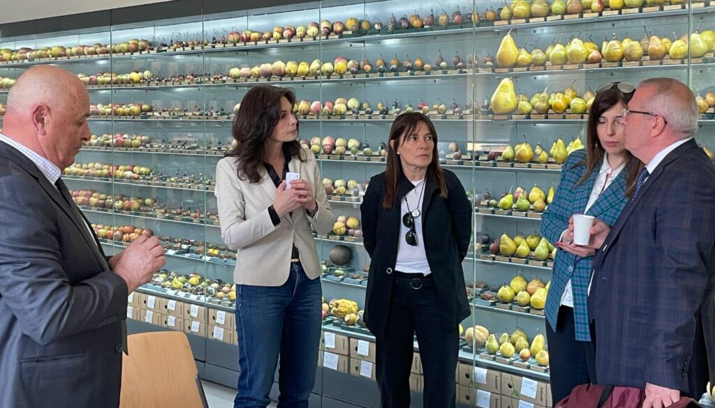 UNIMONT e Georgian Technical University insieme per le montagne conclusa la settimana di scambio internazionale UNIMONT e Georgian Technical University insieme per le montagne conclusa la settimana di scambio internazionale