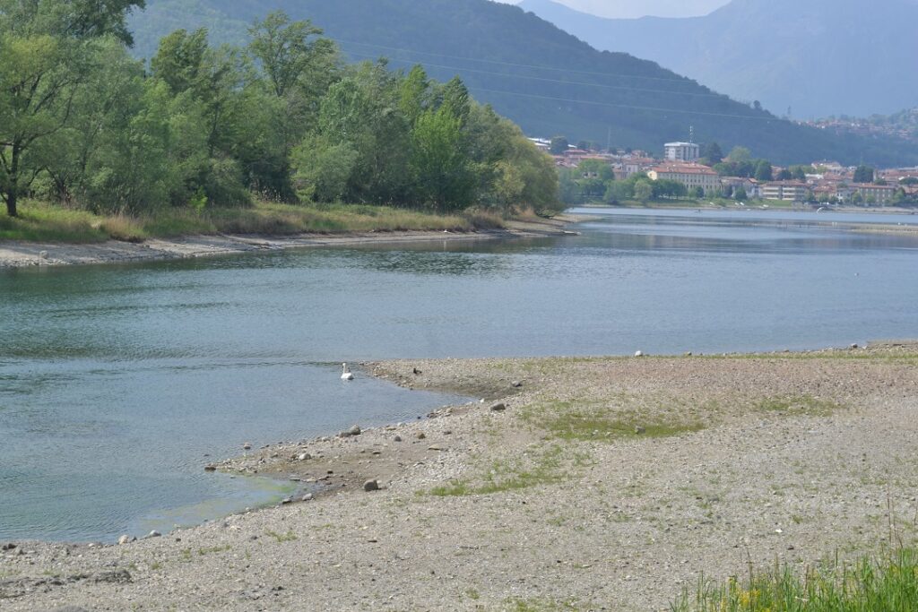 fiume Adda basso in primavera fiume Adda basso in primavera