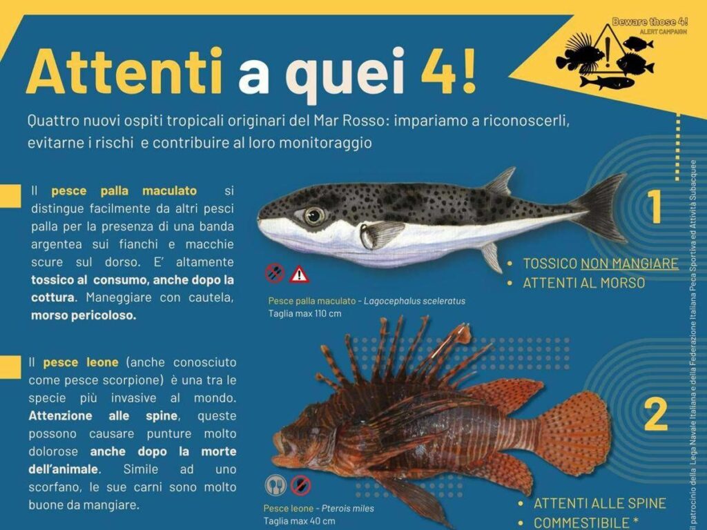 Alieni invasivi riparte la campagna Attenti a quei 4 Alieni invasivi riparte la campagna Attenti a quei 4
