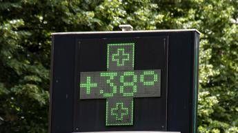 Caldo e integratori quali assumere e perche Caldo e integratori quali assumere e perche