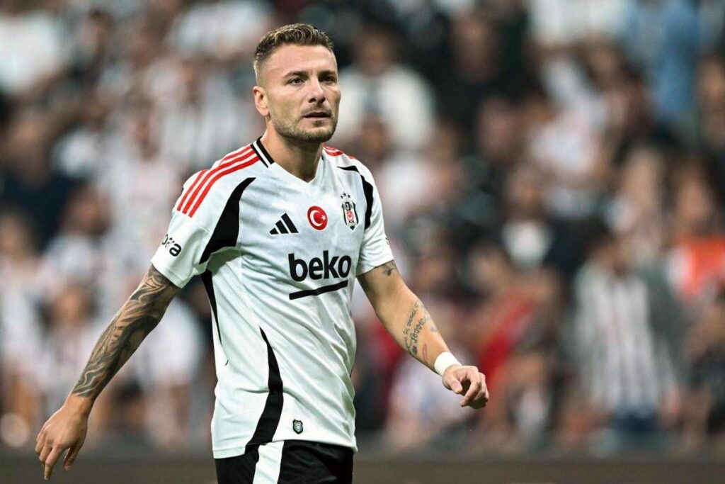 Immobile ritorno in Serie A Il Bologna prova il colpo in attacco Immobile ritorno in Serie A Il Bologna prova il colpo in attacco