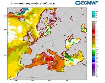 Mare rovente il Mediterraneo si scalda per la Marine Heatwave cose il fenomeno Mare rovente il Mediterraneo si scalda per la Marine Heatwave cose il fenomeno
