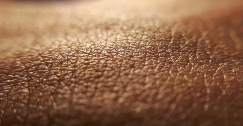 Medici ambiente aumenta eta biologica organismo e la pelle e piu a rischio Medici ambiente aumenta eta biologica organismo e la pelle e piu a rischio