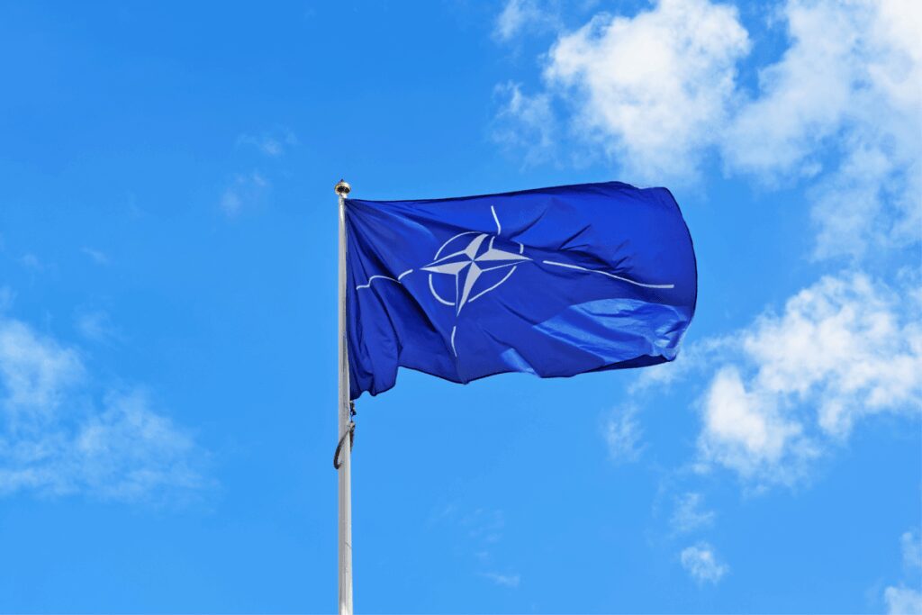 Nato quanto costa allItalia il nuovo obiettivo del 5 del Pil Nato quanto costa allItalia il nuovo obiettivo del 5 del Pil