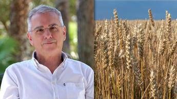 Nutriente versatile e senza glutine cose il Grano de oro Nutriente versatile e senza glutine cose il Grano de oro
