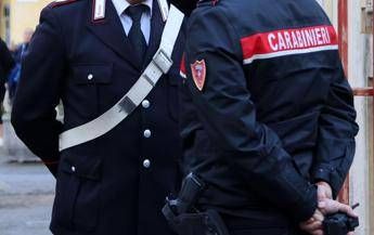 Piacenza feto abbandonato nel cestino dellospedale Piacenza feto abbandonato nel cestino dellospedale