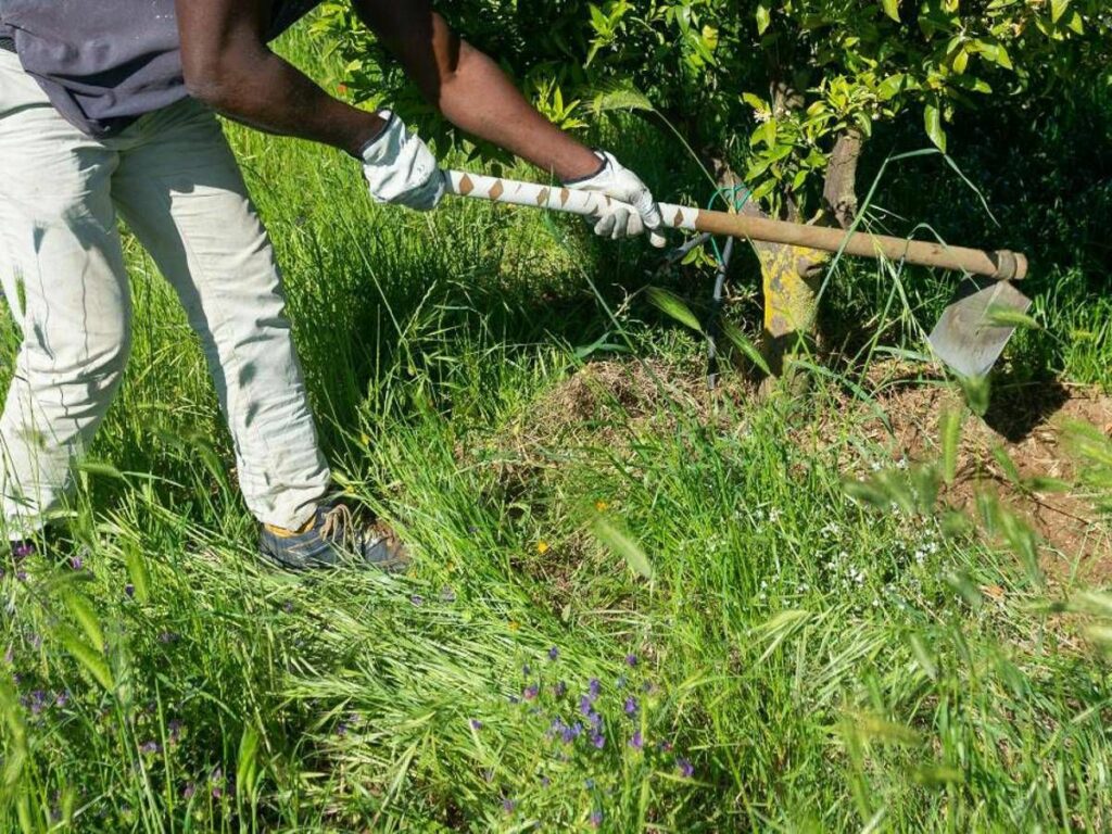 Caldo Rebuzzi Puo uccidere impedire lavoro allaperto nella morsa dellafa Caldo Rebuzzi Puo uccidere impedire lavoro allaperto nella morsa dellafa