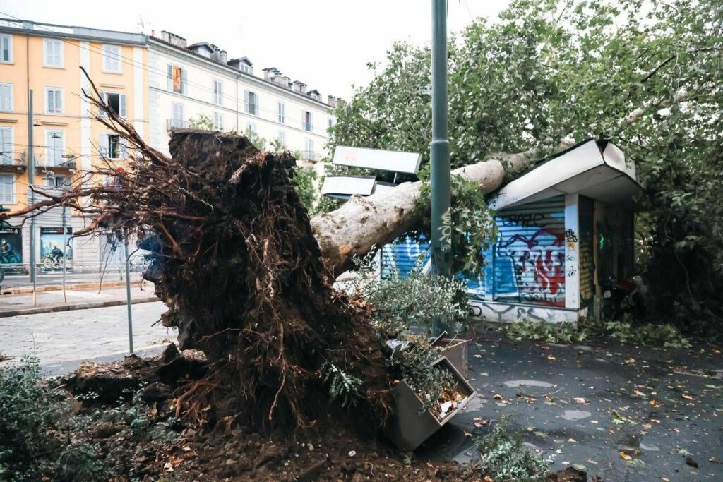 Maltempo alberi caduti e allagamenti in Lombardia e Liguria Maltempo alberi caduti e allagamenti in Lombardia e Liguria