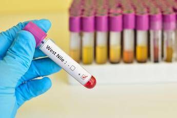 West Nile 77enne morto a Latina e la quinta vittima nel Lazio