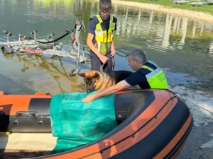 Addestramento su gommone per le Unita Cinofile di Orobie Soccorso