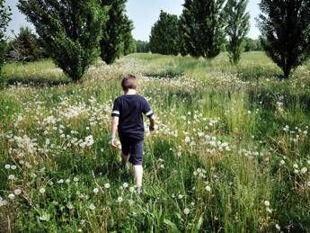 Bambini di campagna piu a rischio diabete la sorpresa da uno studio