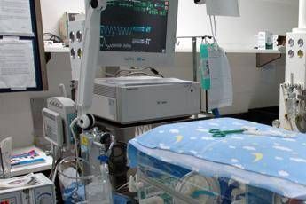 Bolzano neonati morti in ospedale stop a detergente contaminato