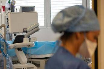 Botulino ancora 5 in rianimazione a Cosenza paziente lascia terapia intensiva dopo antidoto Botulino ancora 5 in rianimazione a Cosenza paziente lascia terapia intensiva dopo antidoto