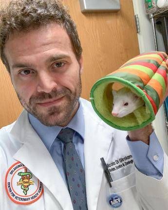 Estate animali esotici da soli a casa Il veterinario Non piu di 24 ore
