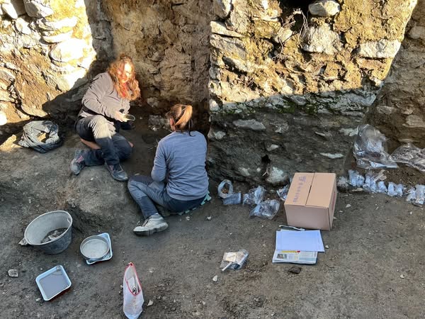 Valtellina un bambino di 1.000 anni fa torna a raccontarci la sua storia la scoperta dellUniversita di Bergamo